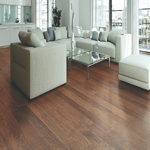 Indian Peak Hickory